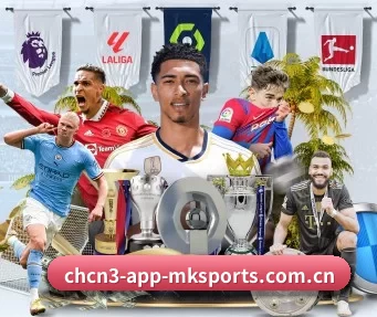 mk体育首页 APP
