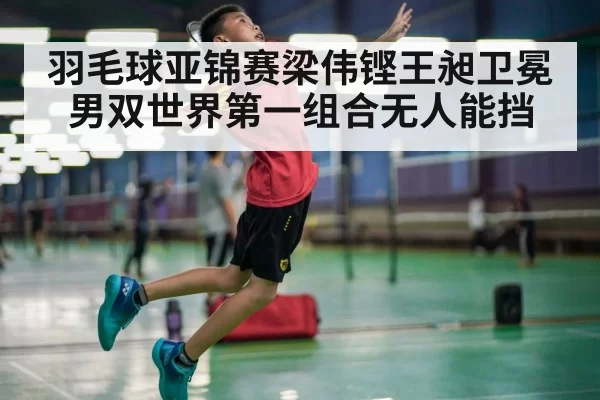 羽毛球亚锦赛梁伟铿王昶卫冕男双世界第一组合无人能挡